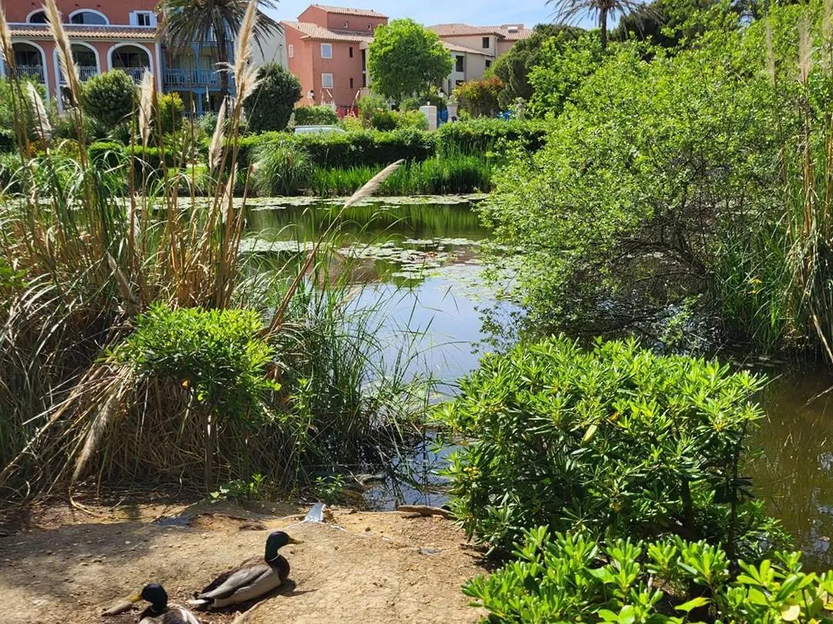 T3 Climatise Avec Piscine, Wi-Fi Et Parking - A 200 M Des Plages Et Commerces - Fr-1-316-291 Six-Fours-les-Plages 0*,  France